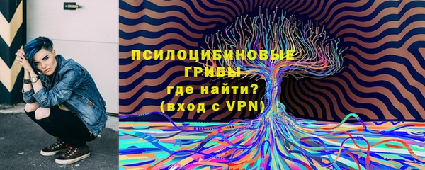 молекула духа Алзамай