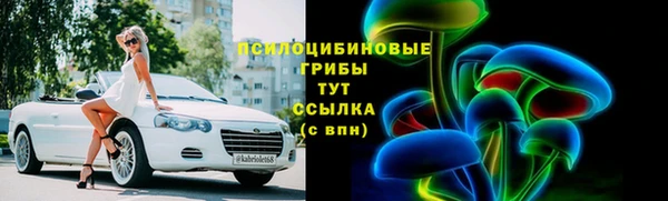 стаф Алексеевка