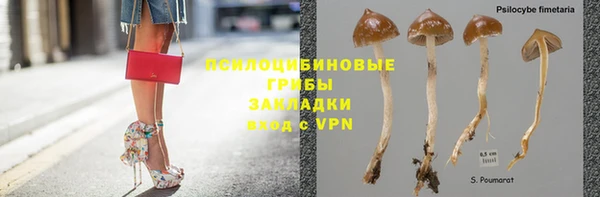 стаф Алексеевка