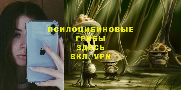 стаф Алексеевка