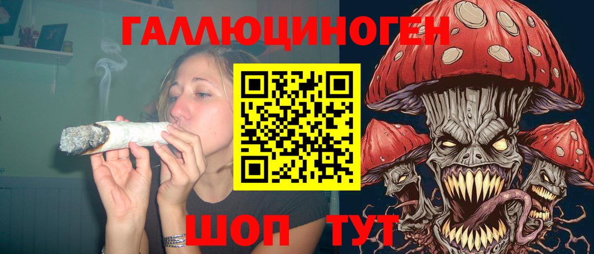 Псилоцибиновые грибы Psilocybe  Вход с VPN  купить   Брянск 
