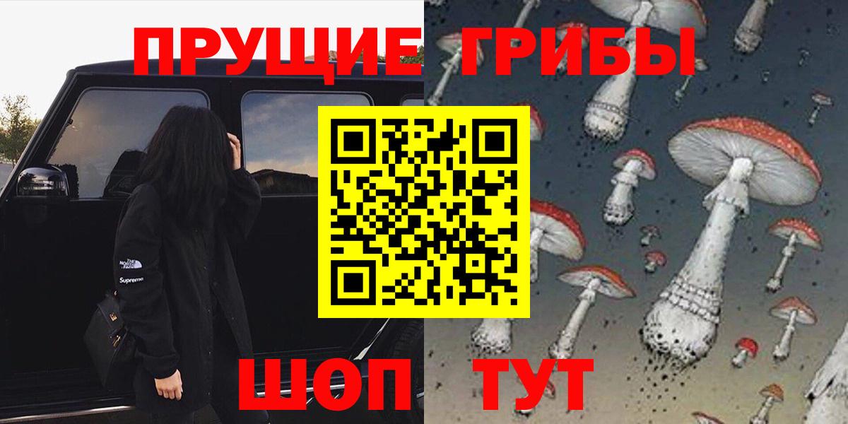 Псилоцибиновые грибы прущие грибы Брянск