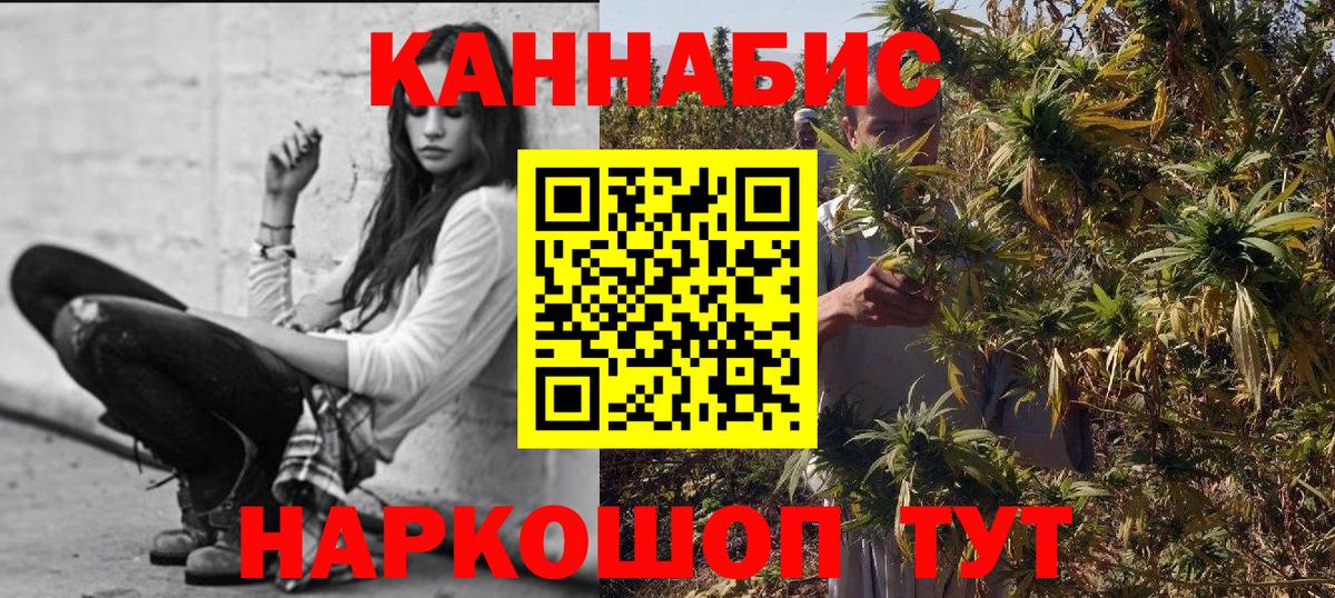 Брянск  Шишки марихуана план  Вход с VPN  Конопля планчик 